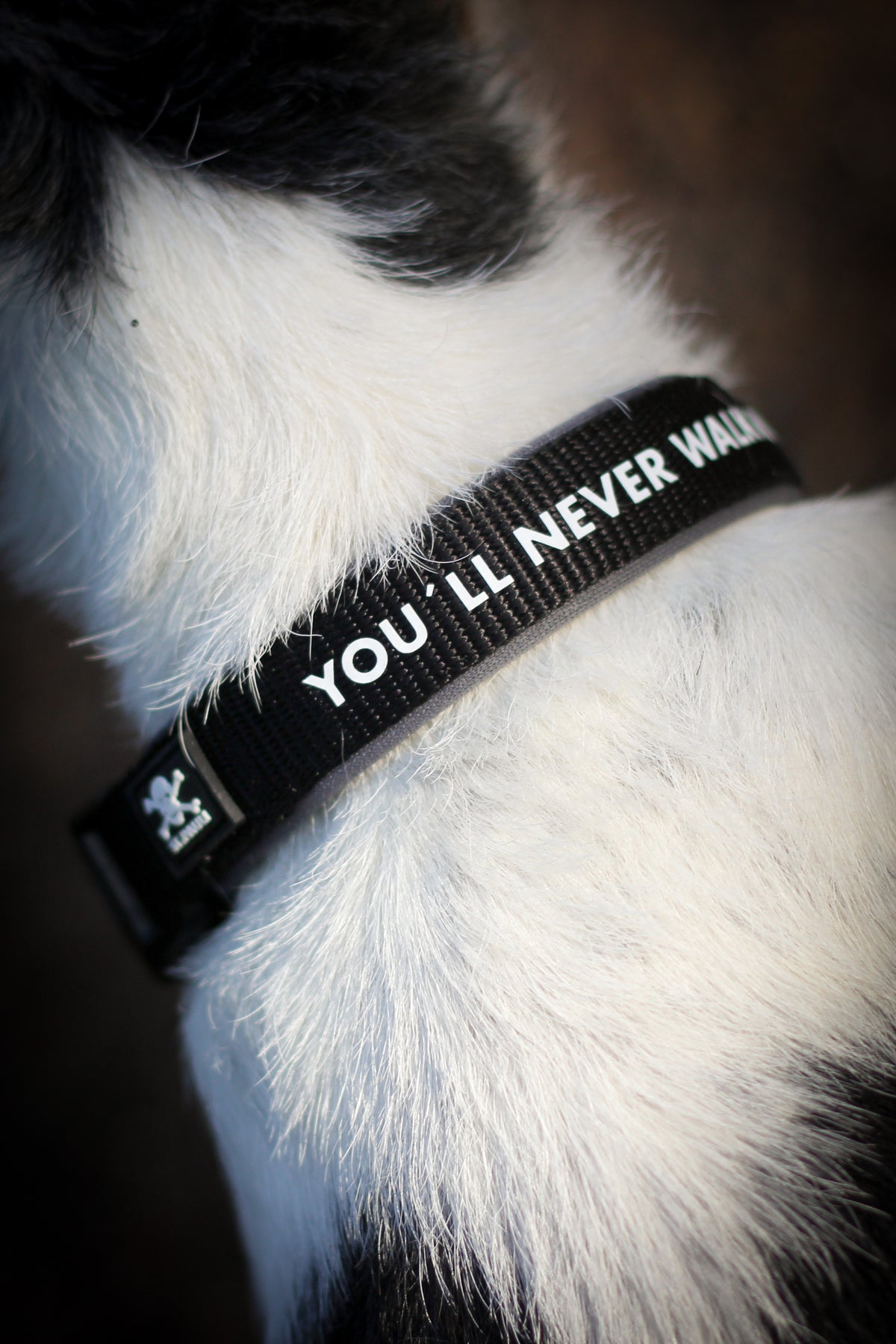 Halsband Totenkopf x Hunter klein