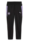 Puma - Trainingshose Team lang 2025-26