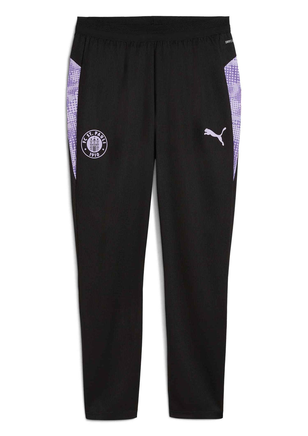 Puma - Trainingshose Team lang 2025-26