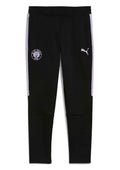 Puma - Präsentationshose Team 2025-26