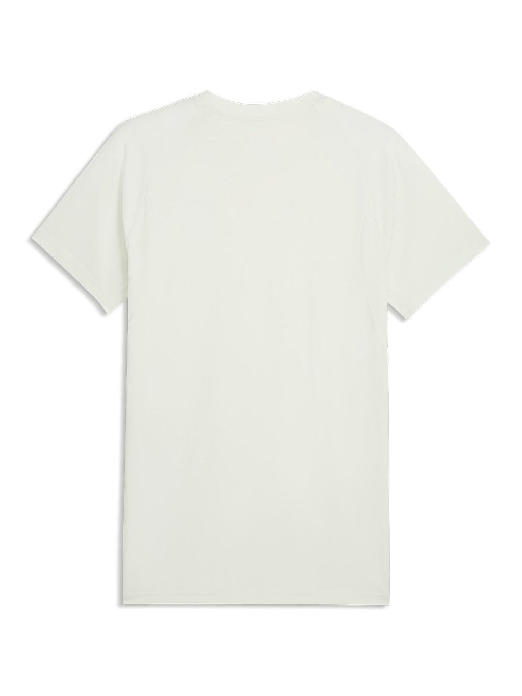 Puma - EVOSTRIPE Tee mint 2026-27