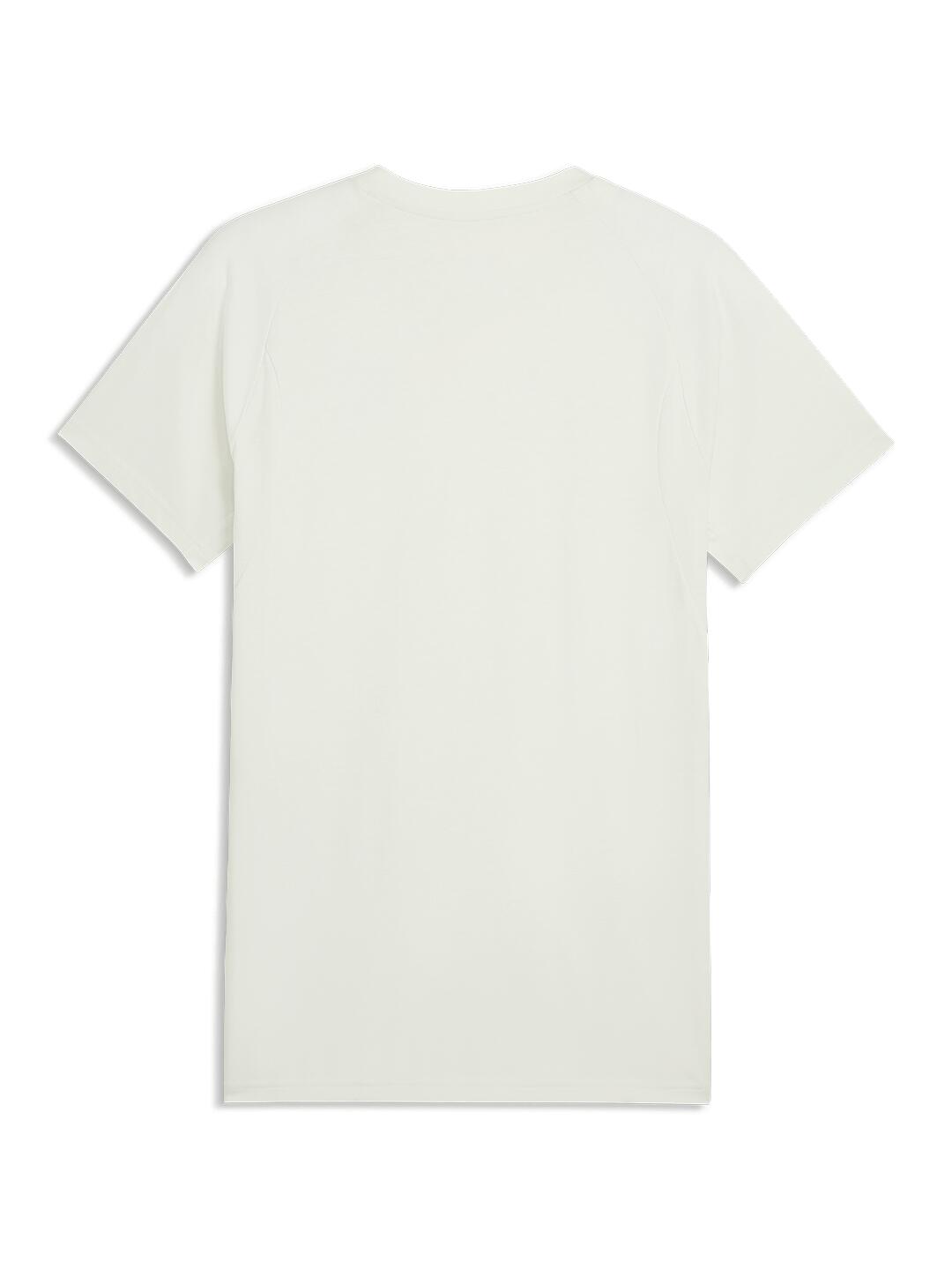 Puma - EVOSTRIPE Tee mint 2026-27