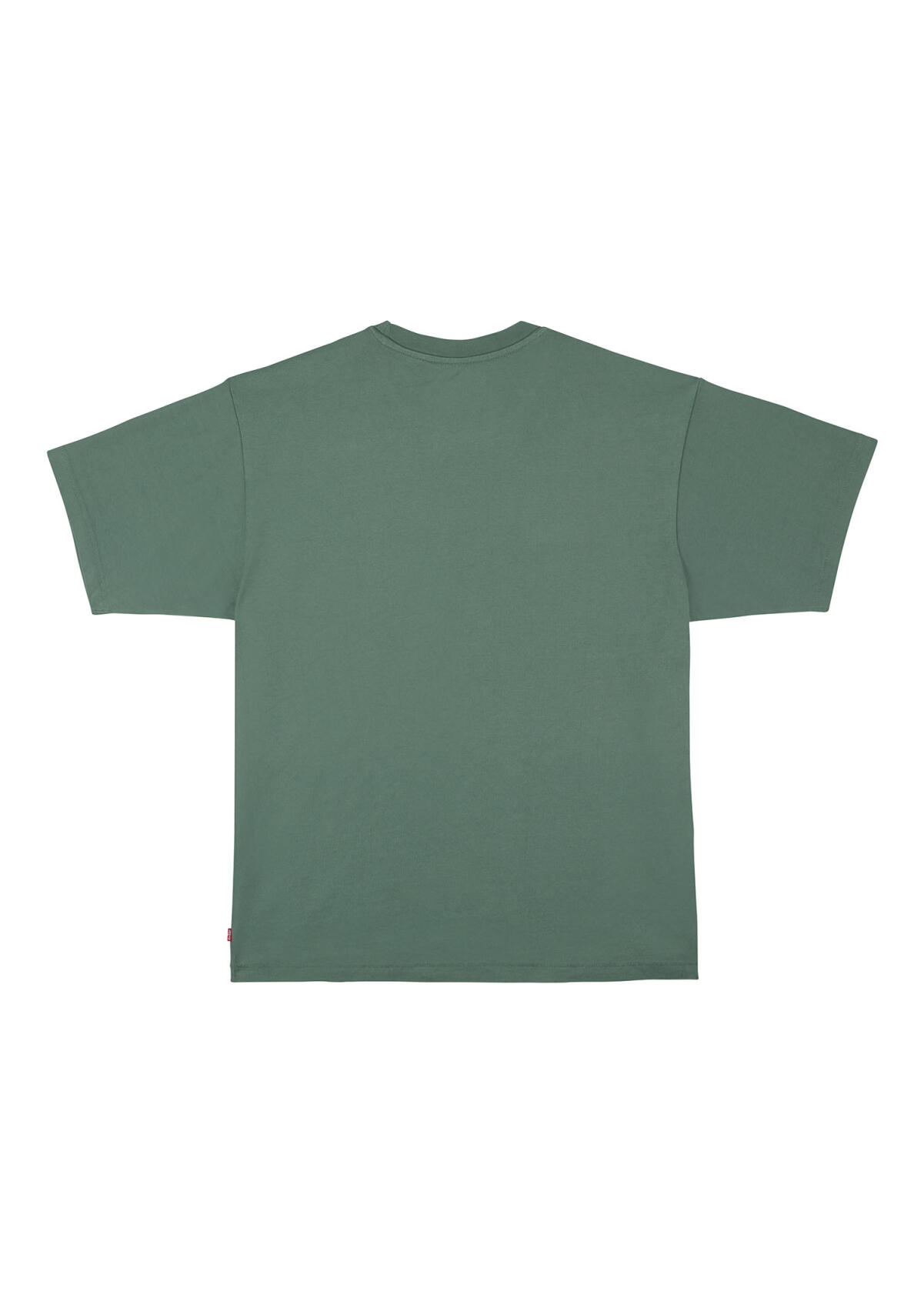 Levi's x FCSP T-Shirt Totenkopf grün